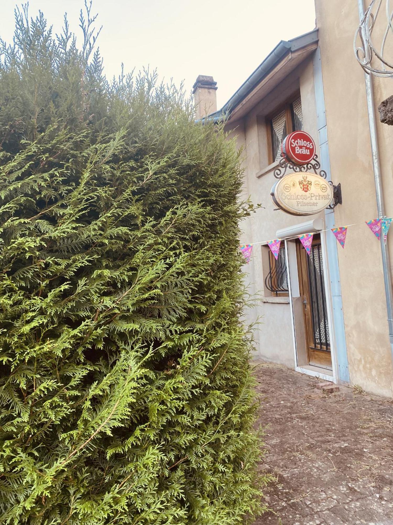 La Mariefacture - Comme A La Guinguette ! Villa Hombourg-Haut Buitenkant foto