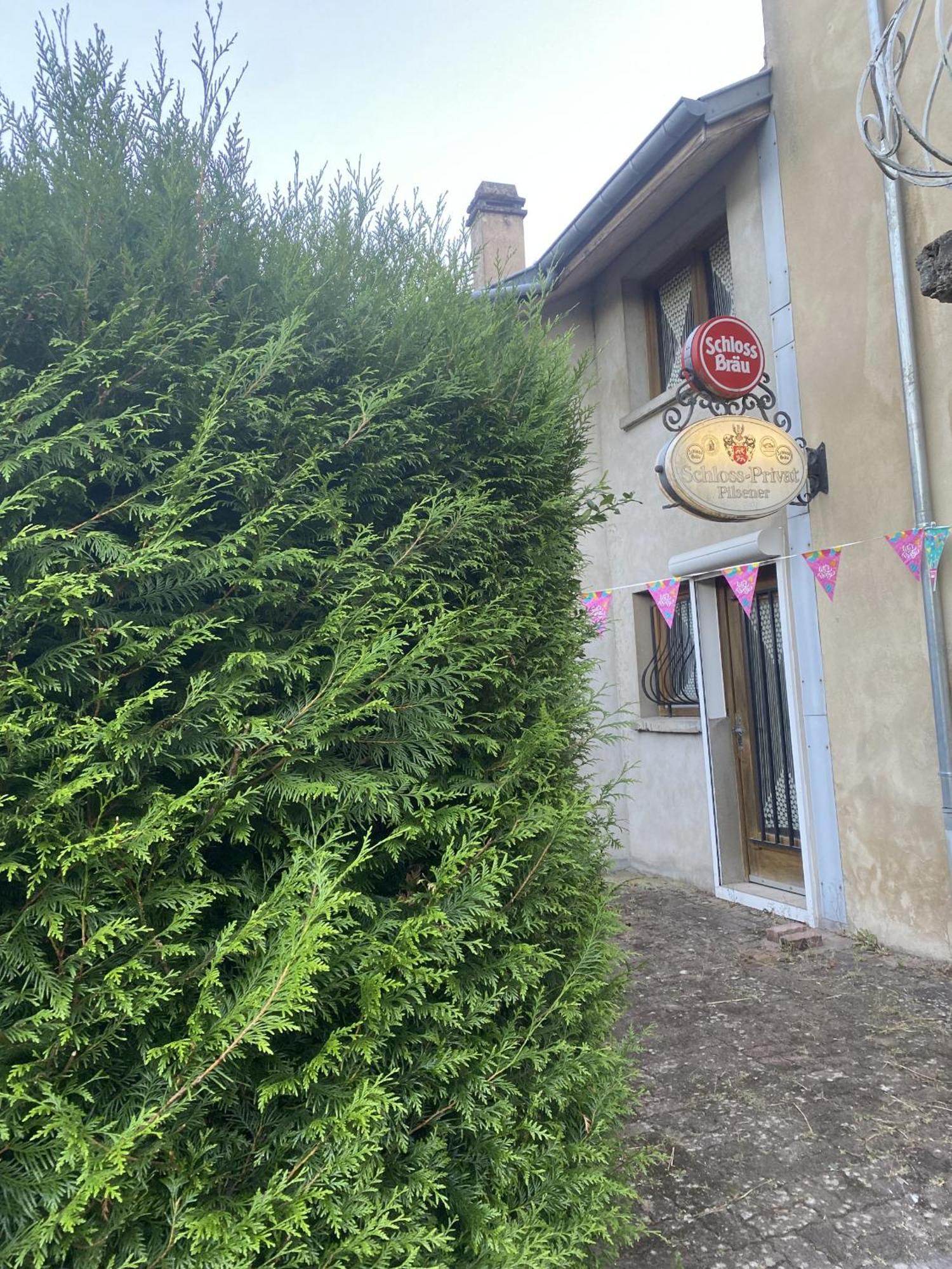 La Mariefacture - Comme A La Guinguette ! Villa Hombourg-Haut Buitenkant foto
